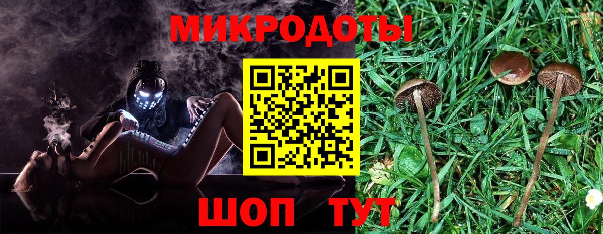 Галлюциногенные грибы Psilocybe  Вход с VPN  как найти наркотики  Сыктывкар 